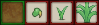 Seed slot